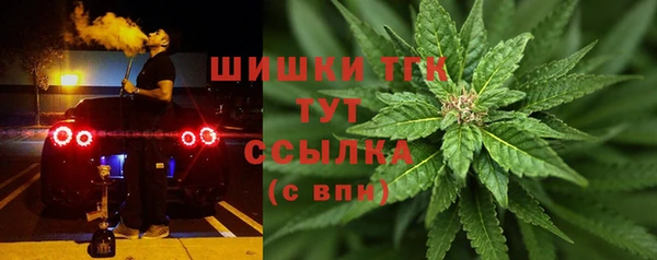 мяу мяу мука Каменногорск