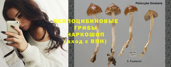 дживик Алексин