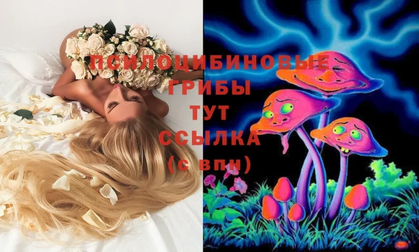 таблы Алексеевка