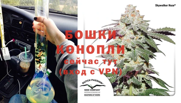 дурь Гусиноозёрск