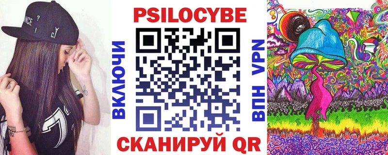 купить  цена  Вологда  Псилоцибиновые грибы Psilocybine cubensis 